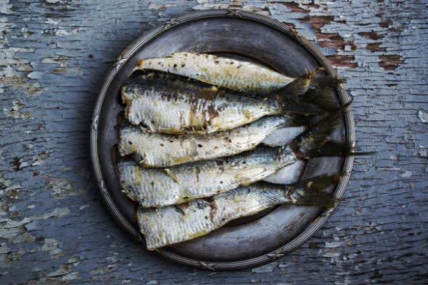 17種抗發炎超級食物│JoiiUp揪健康-富脂肪魚類
