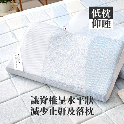 【ELVIS愛菲斯】瑞士山寧泰涼感親水記憶棉枕