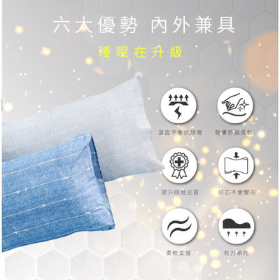 【ELVIS愛菲斯】石墨烯壓縮枕芯-花色隨機出貨
